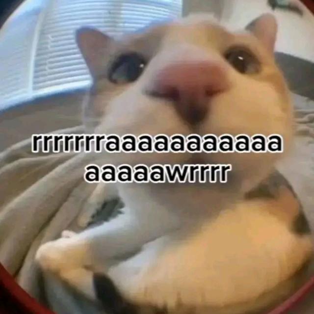 JB ALL GAME KYYHMSTR [9191] メ OWN