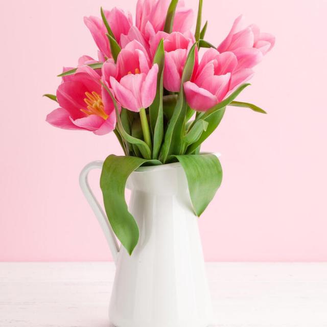 Dreams???????♂️??♀️