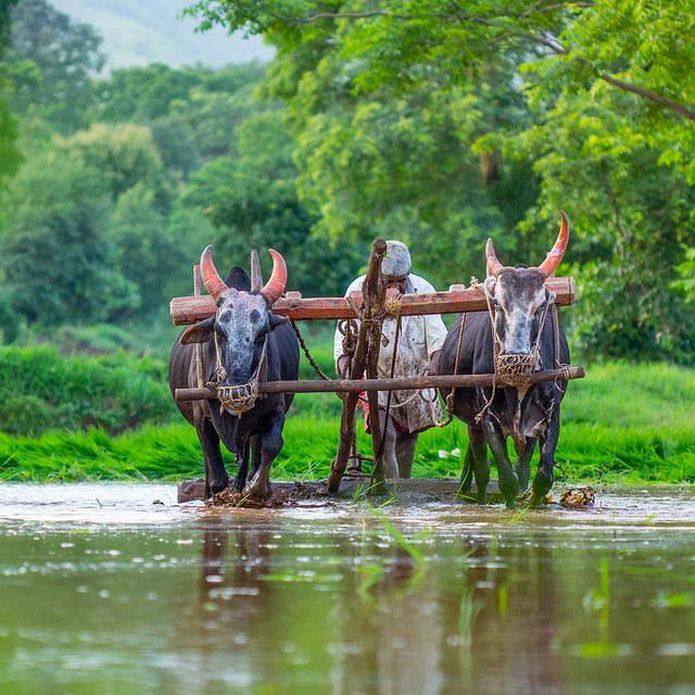 ?? शेतकरी अपडेट @32 ??