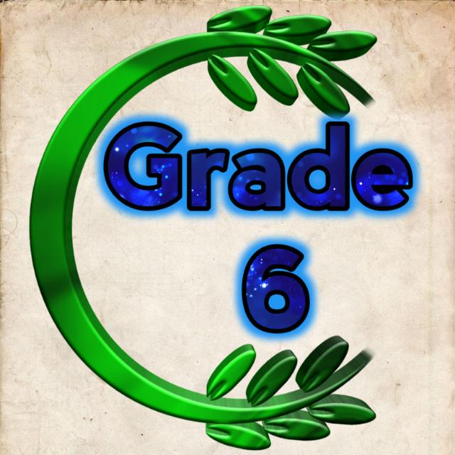 Grade 6 2024