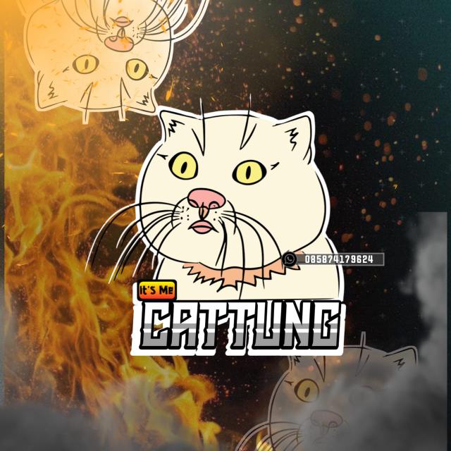 Cattung Store