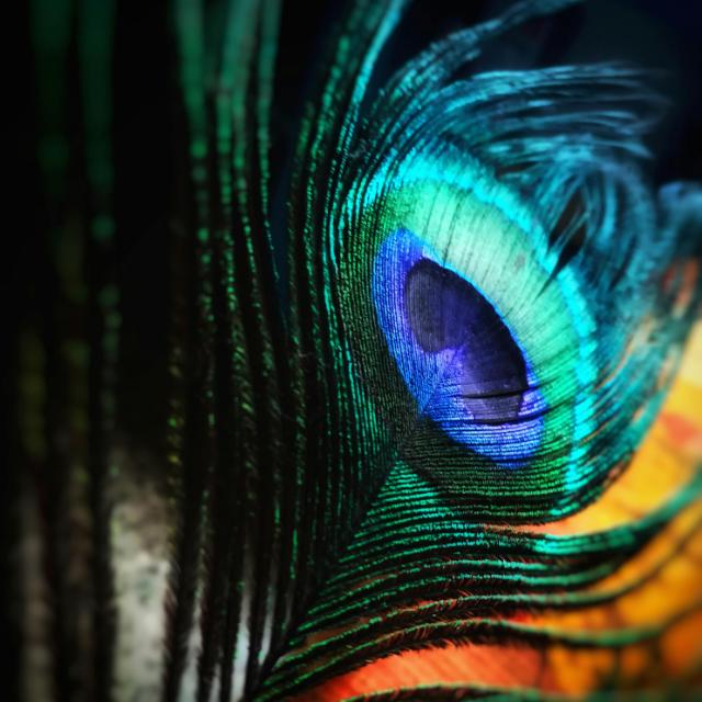 ꧁????? ???????? ????????꧂ ?