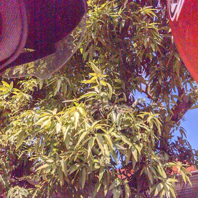 GC STOK |  × Fe hsem #1