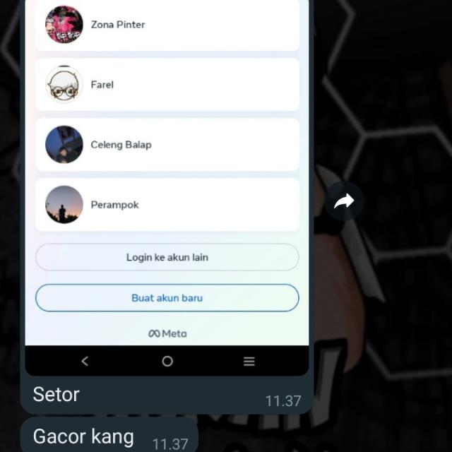 LADANG JASTEB IMRAN HOST²