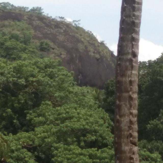Galiya