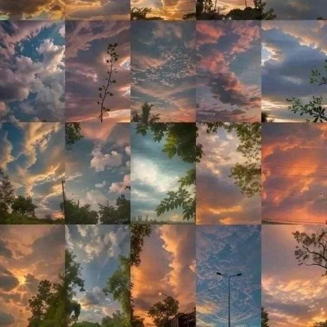 ⛔??? ??? ?????? ?????⛔