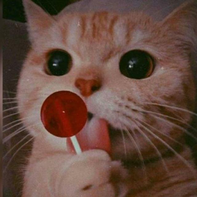 ƠƝԼƳ ƇӇƛƬ ??