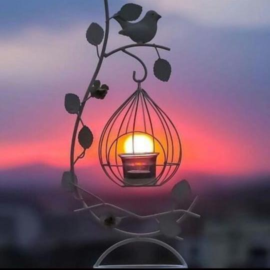 Bilal Telecom Centre 1111