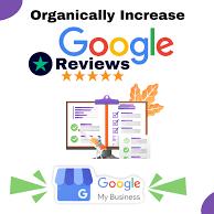 Google Reveiw work