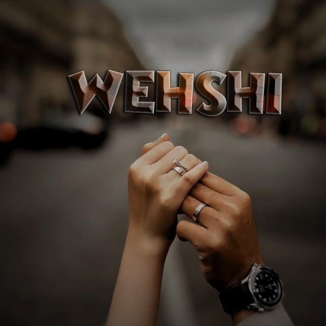 WEHSHI WRITES