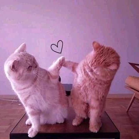 ????????????????♥️