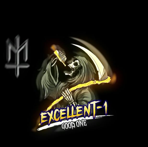 EXCELLENT-1