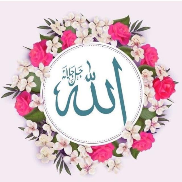 ?????? ?? ?????✨⚡?