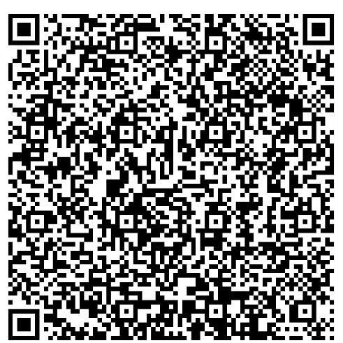 WEB P RIZKY STORE