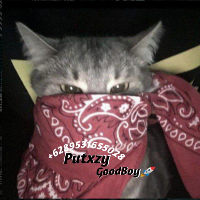 ?? || ??? ???? ?????