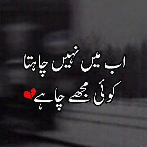 Instagram logo promotion