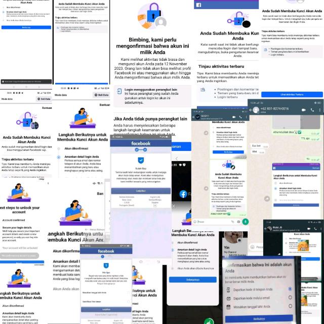 MURSES BAY Wizly SESI