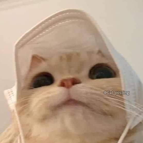 ?⃟⌘࿔⃝❤️༺වදන්  රැල්ල༻ (1)?⃟✦⃝?᭄᭄᭄̊̊̊̊̊̊࿔