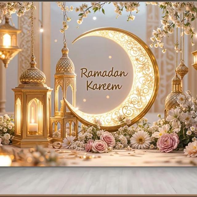 ?????????????????????✨