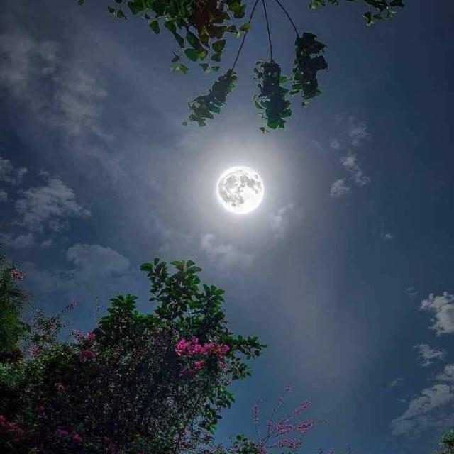 ایک فرقہ اداس لوگوں کا ❤‍?