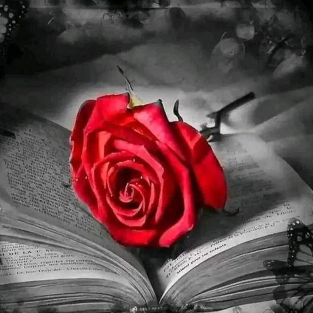 ??اِنتَہائےِ؏ــشـ❥ـہہق??