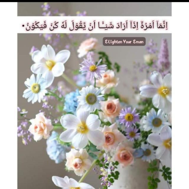 ?️✨Enlighten Your Eman ✨?️