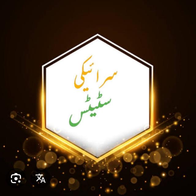 Saraiki Vibes